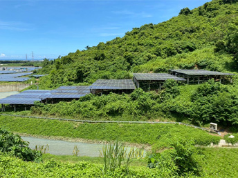 生利